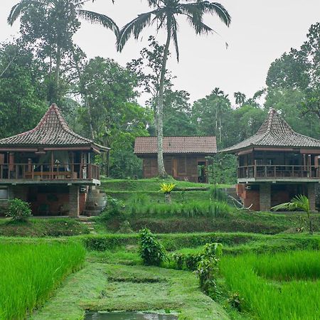 Tepi Sawah Lodge & Retreat Jatiluwih Exterior foto