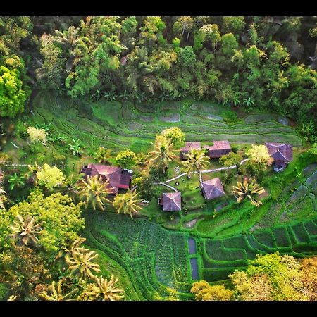 Tepi Sawah Lodge & Retreat Jatiluwih Exterior foto