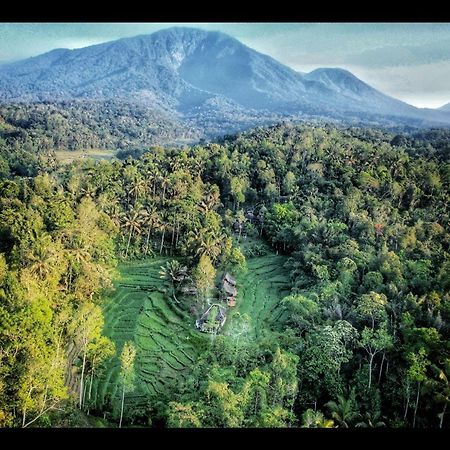 Tepi Sawah Lodge & Retreat Jatiluwih Exterior foto