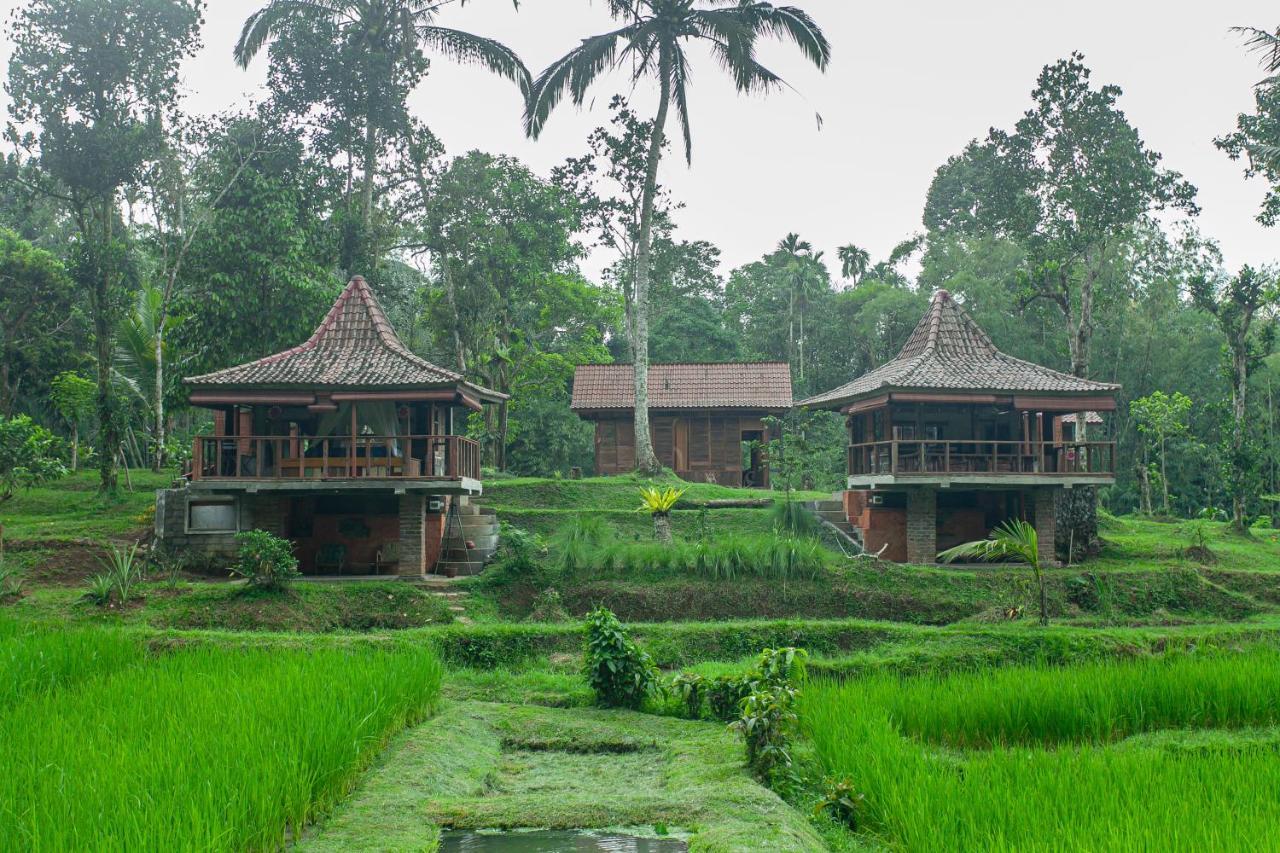 Tepi Sawah Lodge & Retreat Jatiluwih Exterior foto