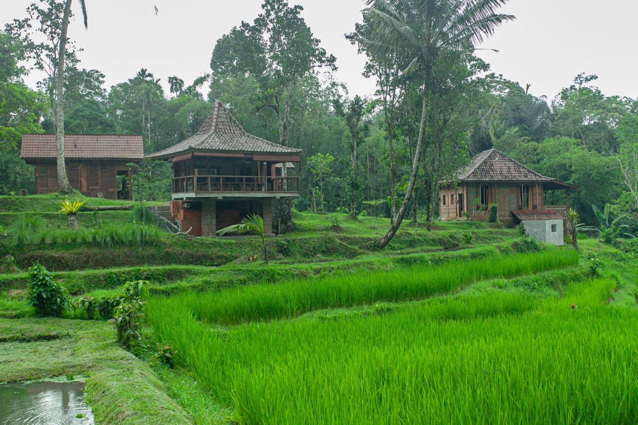 Tepi Sawah Lodge & Retreat Jatiluwih Exterior foto