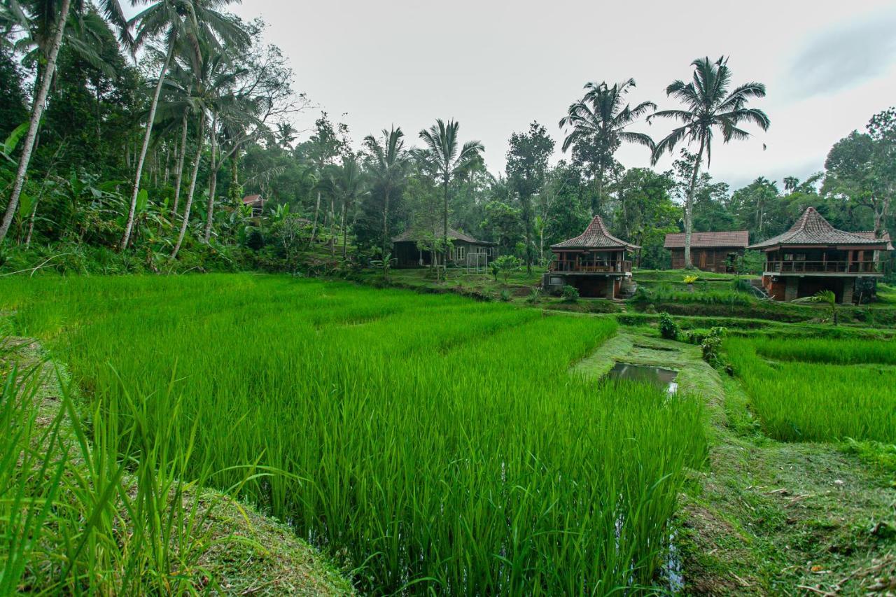 Tepi Sawah Lodge & Retreat Jatiluwih Exterior foto