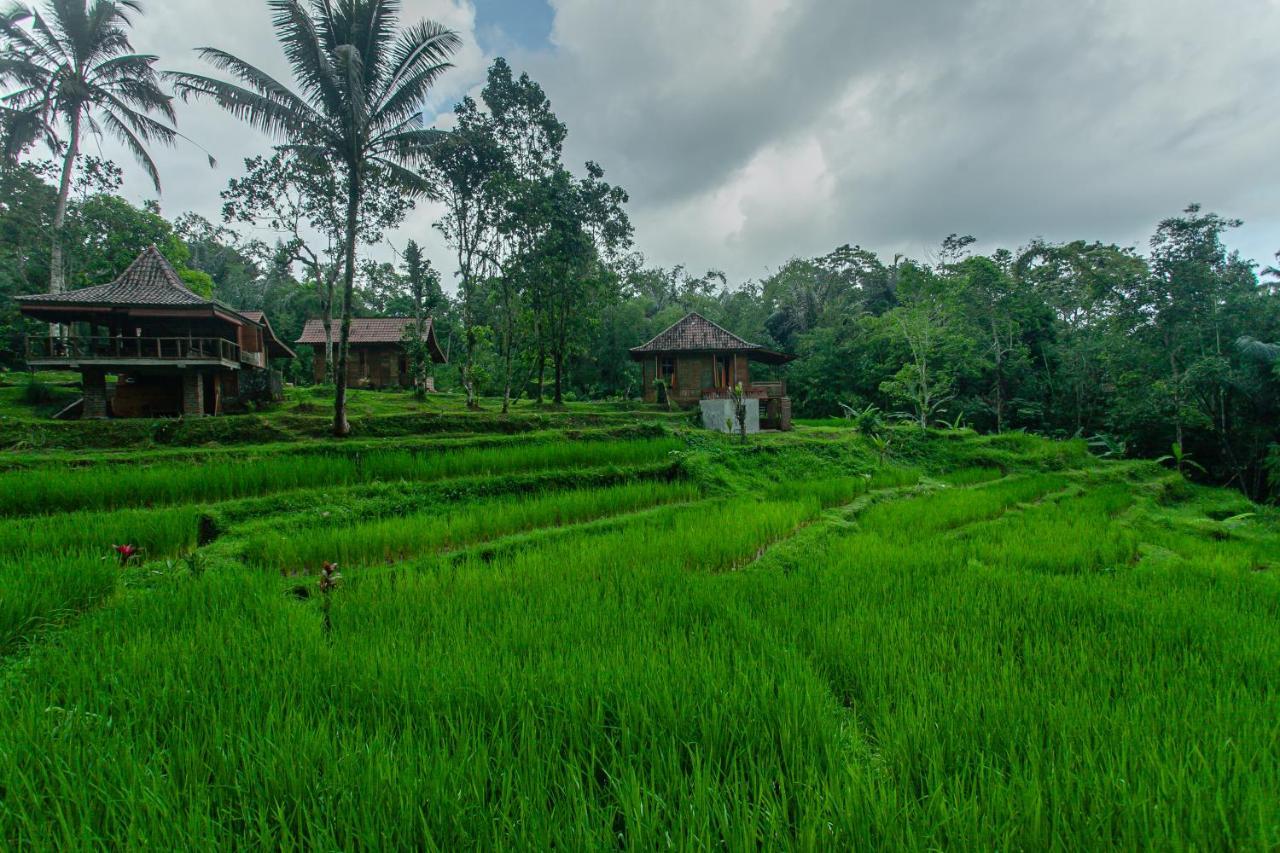 Tepi Sawah Lodge & Retreat Jatiluwih Exterior foto