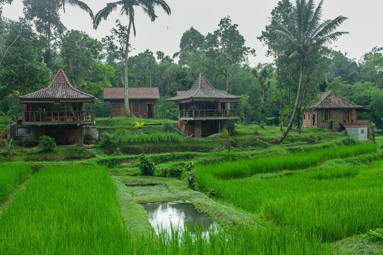 Tepi Sawah Lodge & Retreat Jatiluwih Exterior foto