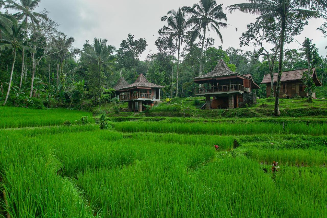 Tepi Sawah Lodge & Retreat Jatiluwih Exterior foto