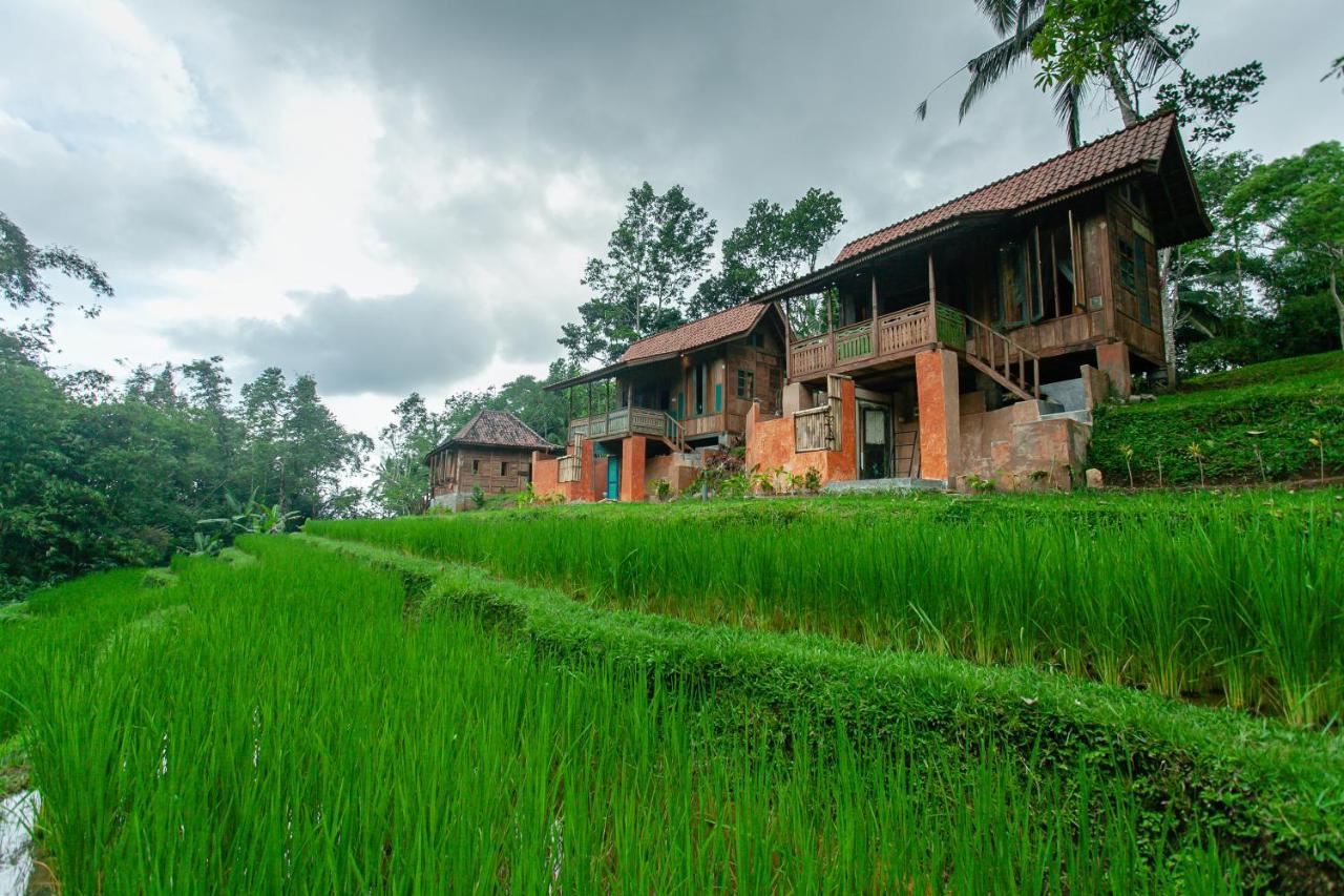 Tepi Sawah Lodge & Retreat Jatiluwih Exterior foto