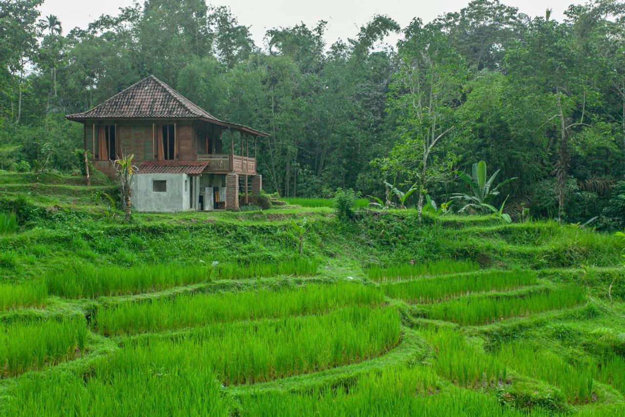 Tepi Sawah Lodge & Retreat Jatiluwih Exterior foto