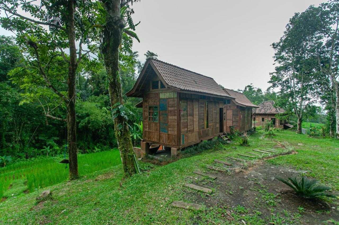 Tepi Sawah Lodge & Retreat Jatiluwih Exterior foto