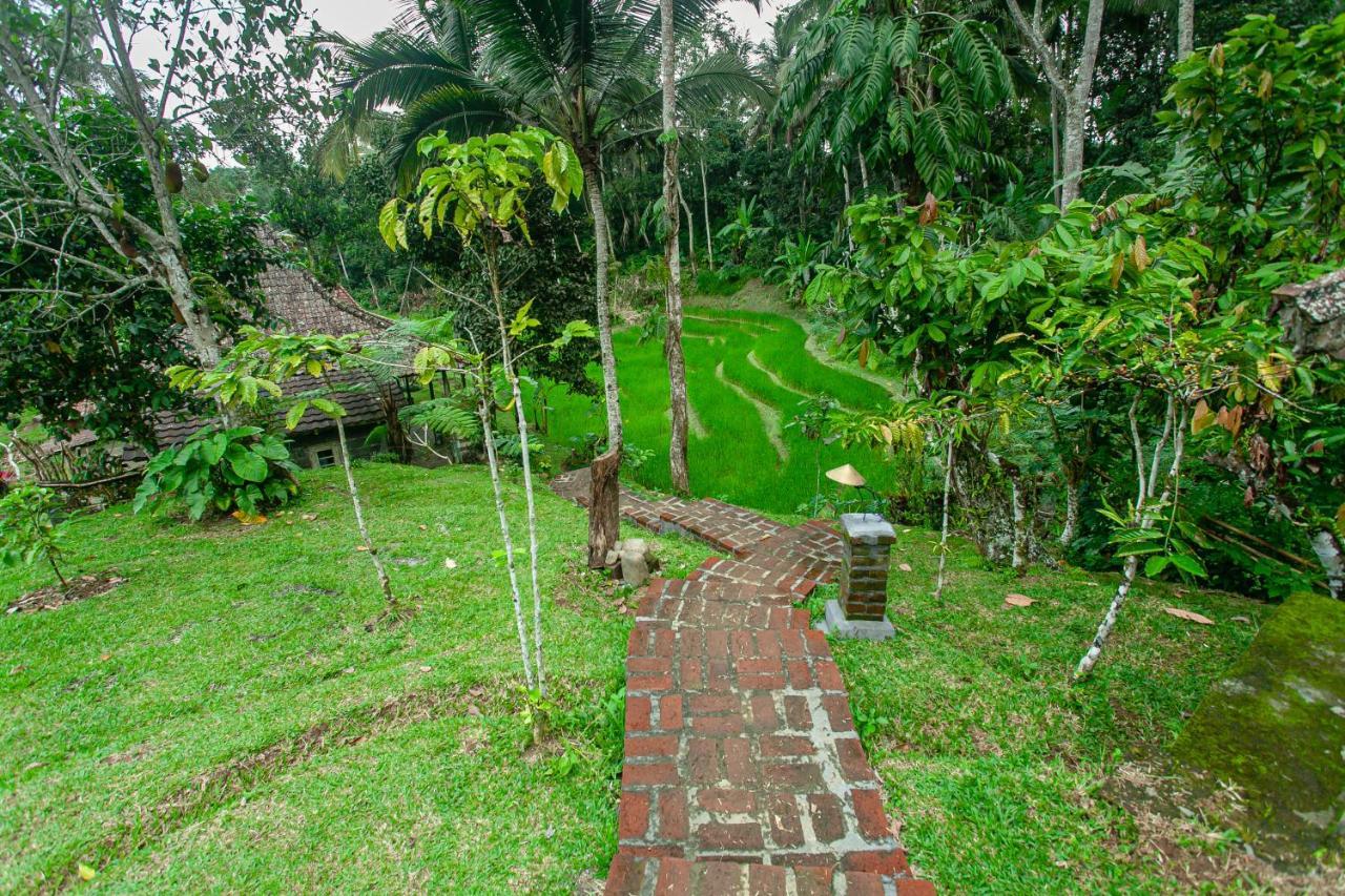 Tepi Sawah Lodge & Retreat Jatiluwih Exterior foto