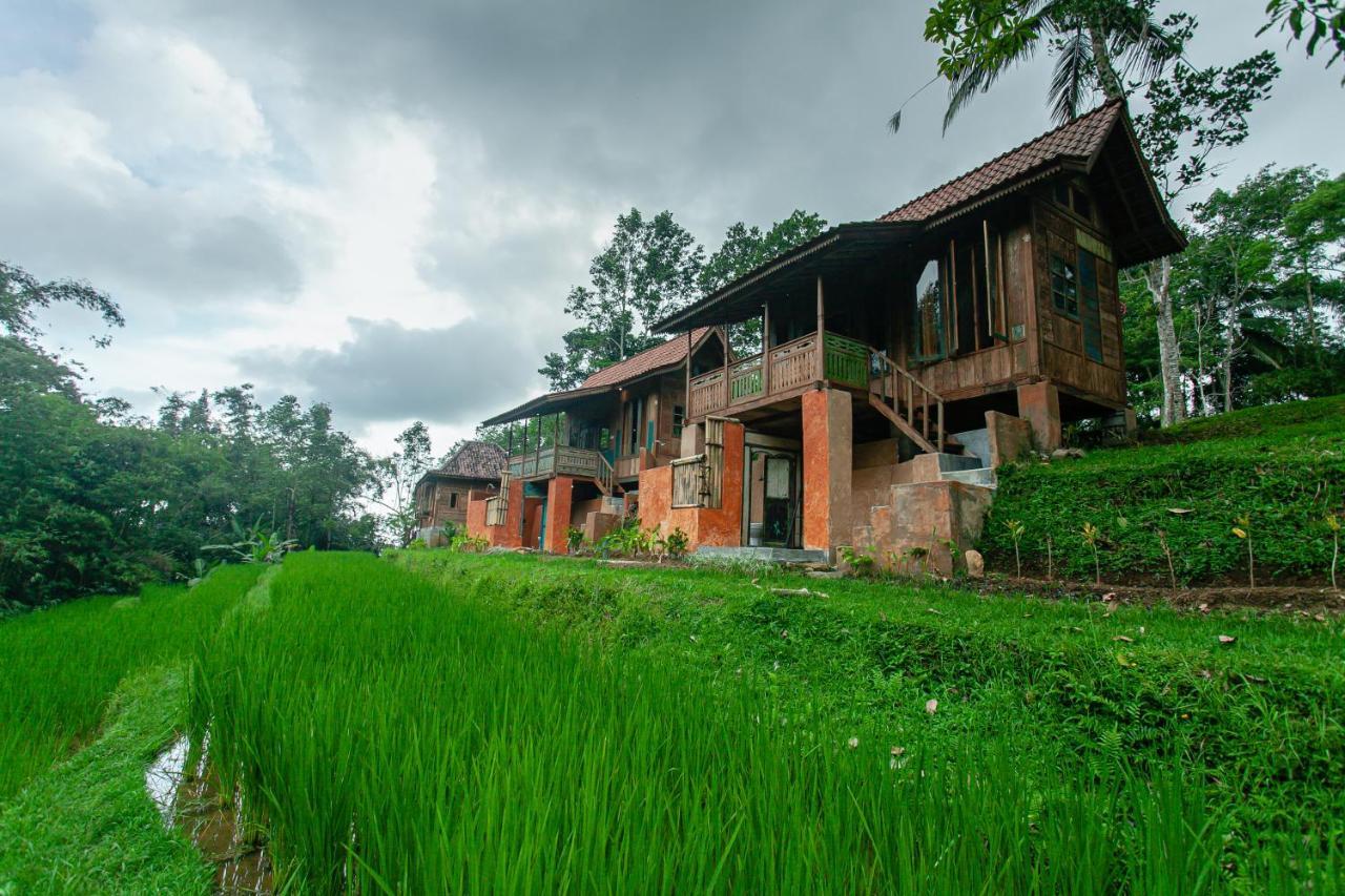 Tepi Sawah Lodge & Retreat Jatiluwih Exterior foto