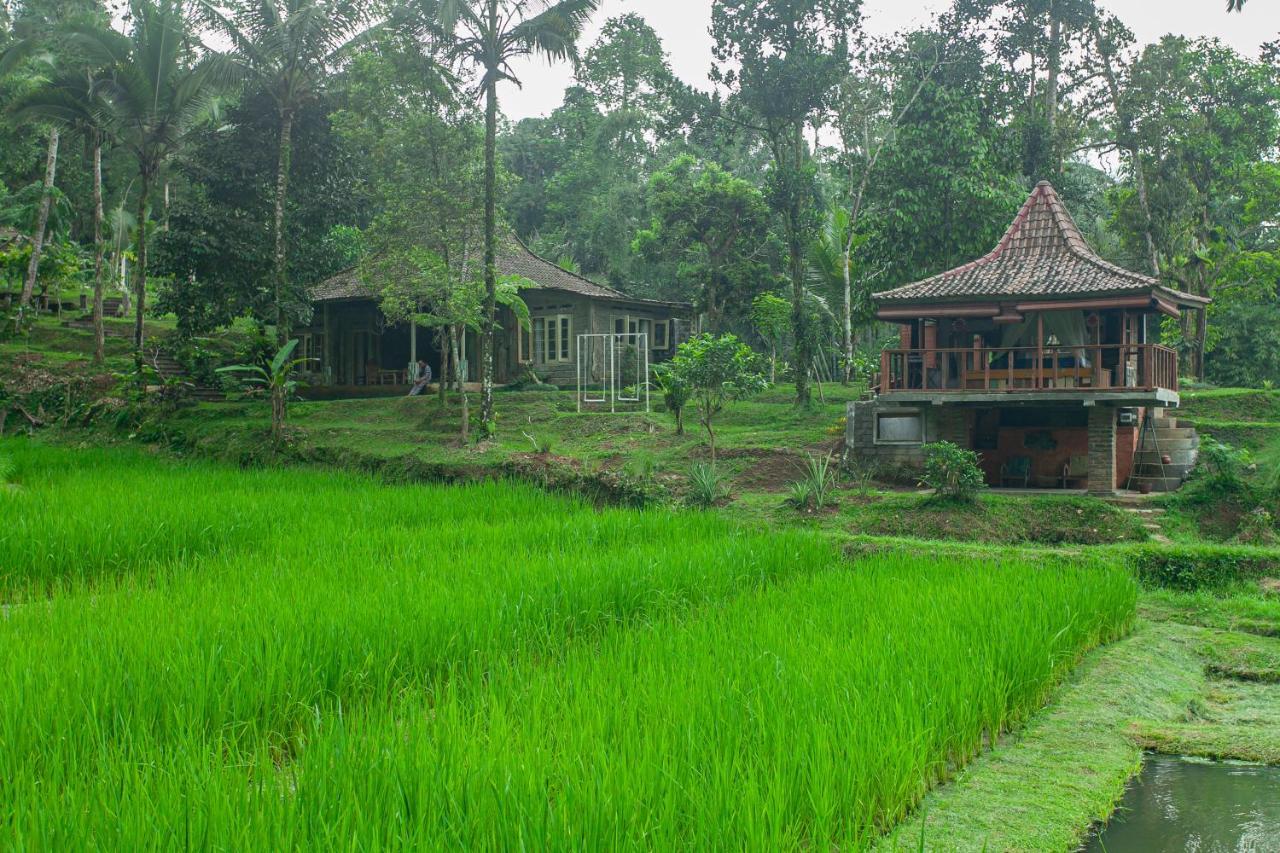 Tepi Sawah Lodge & Retreat Jatiluwih Exterior foto