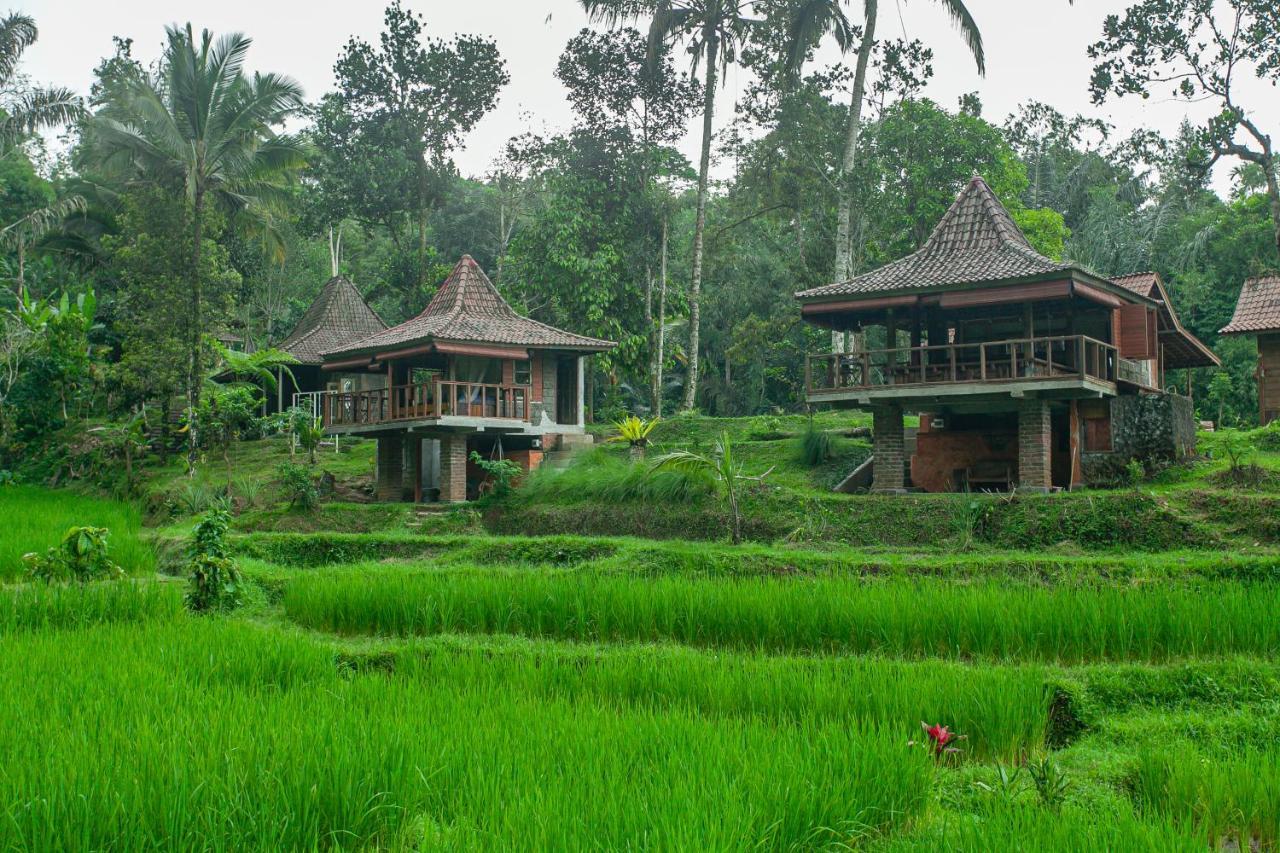 Tepi Sawah Lodge & Retreat Jatiluwih Exterior foto