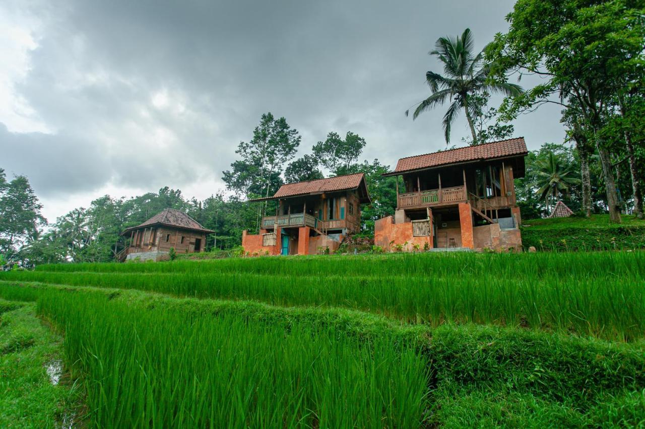 Tepi Sawah Lodge & Retreat Jatiluwih Exterior foto