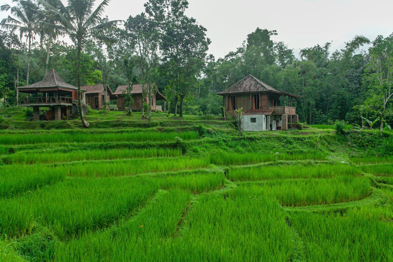 Tepi Sawah Lodge & Retreat Jatiluwih Exterior foto