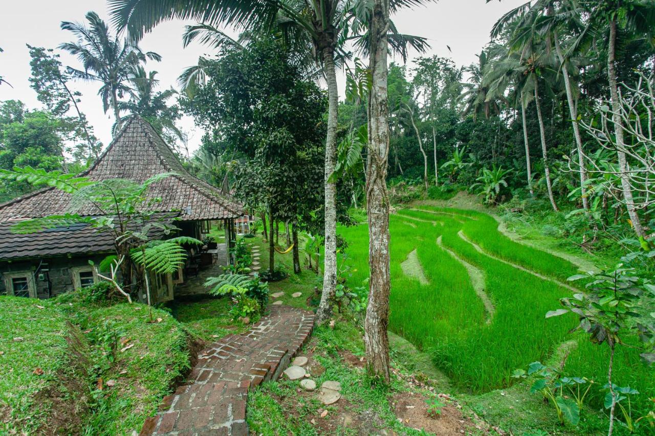 Tepi Sawah Lodge & Retreat Jatiluwih Exterior foto