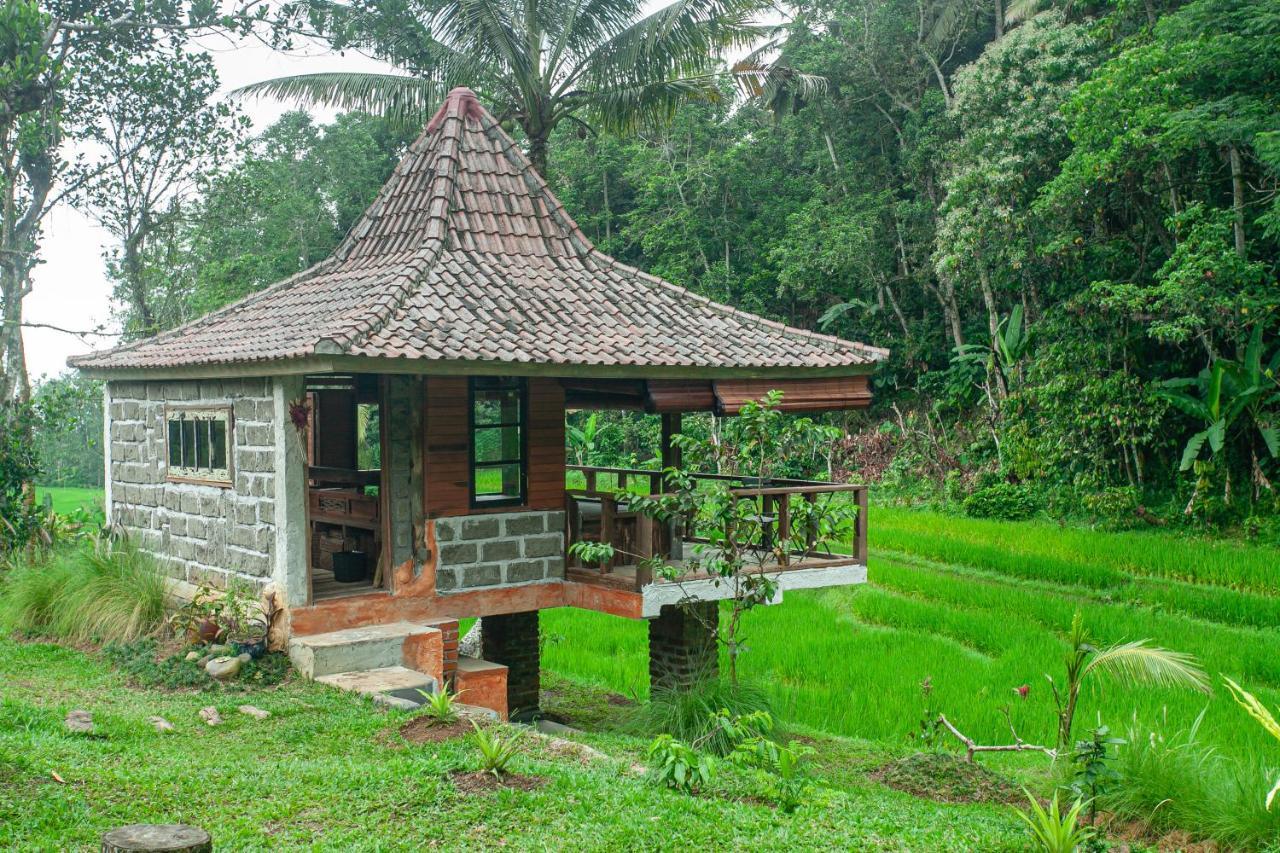 Tepi Sawah Lodge & Retreat Jatiluwih Exterior foto