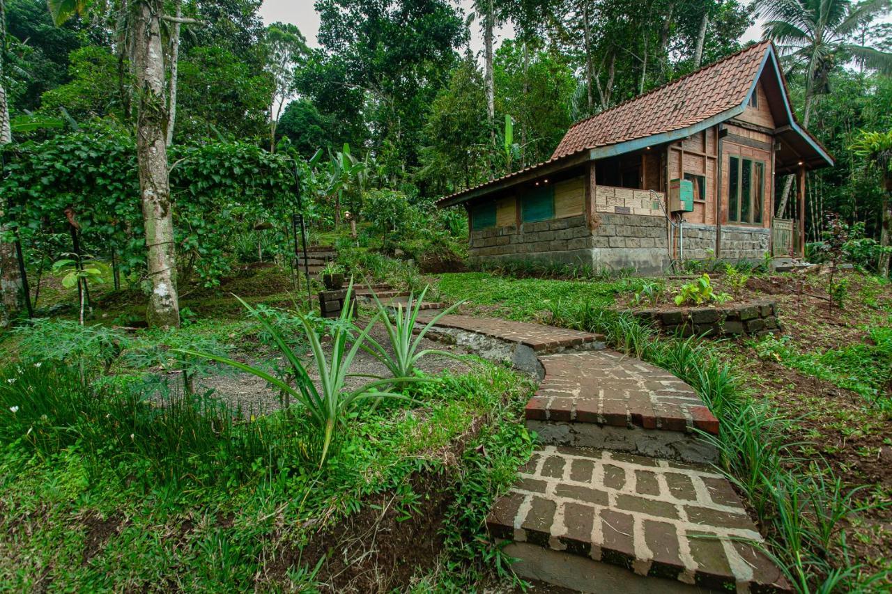 Tepi Sawah Lodge & Retreat Jatiluwih Exterior foto