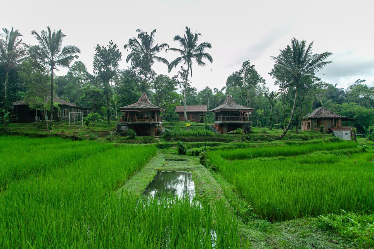 Tepi Sawah Lodge & Retreat Jatiluwih Exterior foto