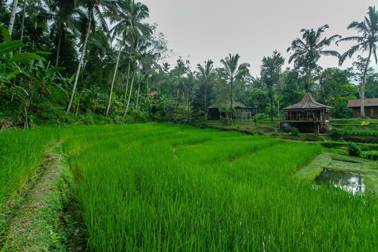 Tepi Sawah Lodge & Retreat Jatiluwih Exterior foto