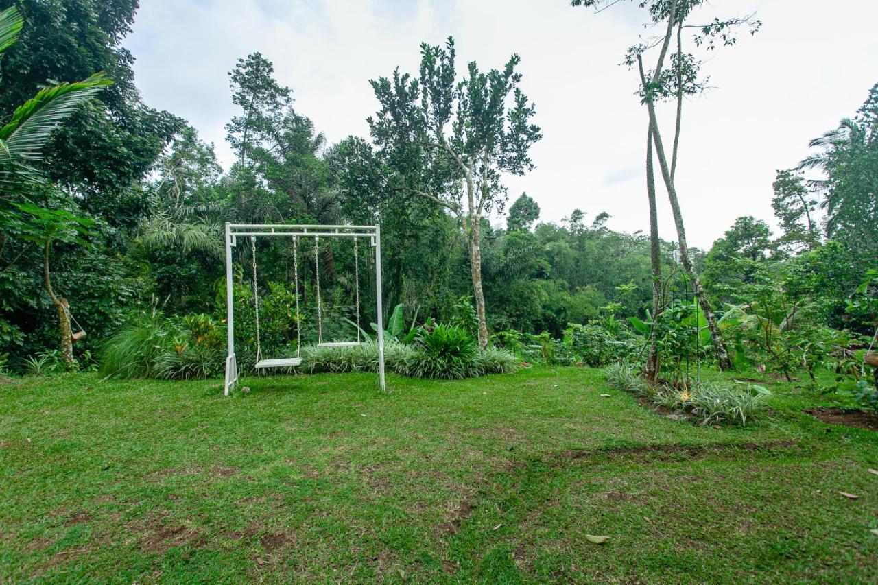 Tepi Sawah Lodge & Retreat Jatiluwih Exterior foto