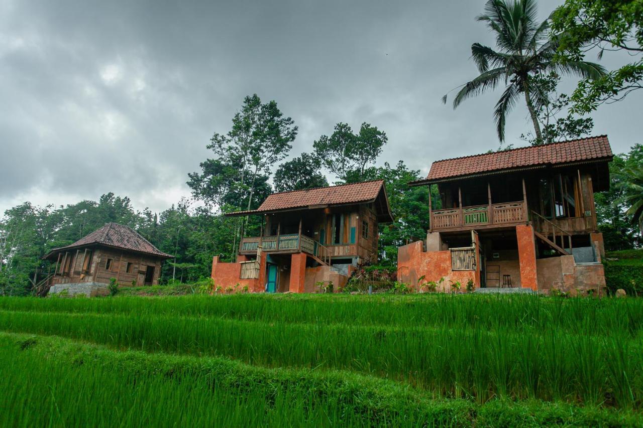 Tepi Sawah Lodge & Retreat Jatiluwih Exterior foto