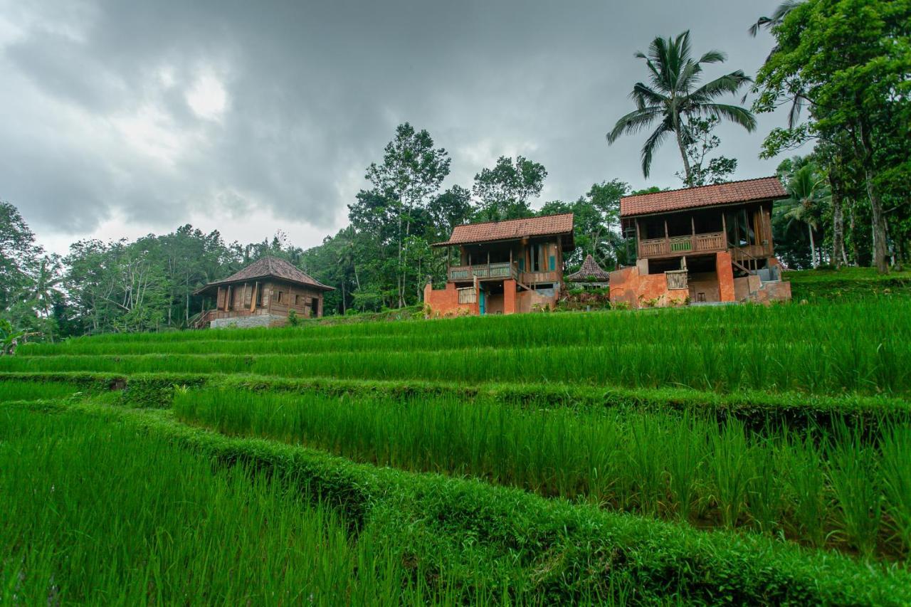 Tepi Sawah Lodge & Retreat Jatiluwih Exterior foto