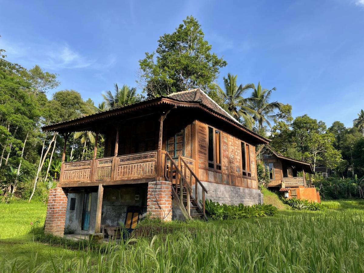 Tepi Sawah Lodge & Retreat Jatiluwih Exterior foto