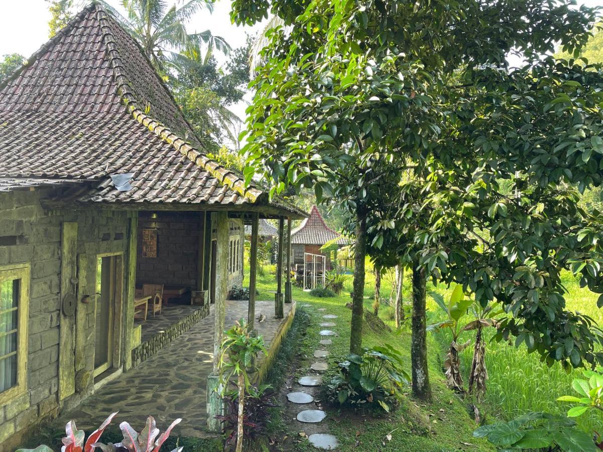 Tepi Sawah Lodge & Retreat Jatiluwih Exterior foto