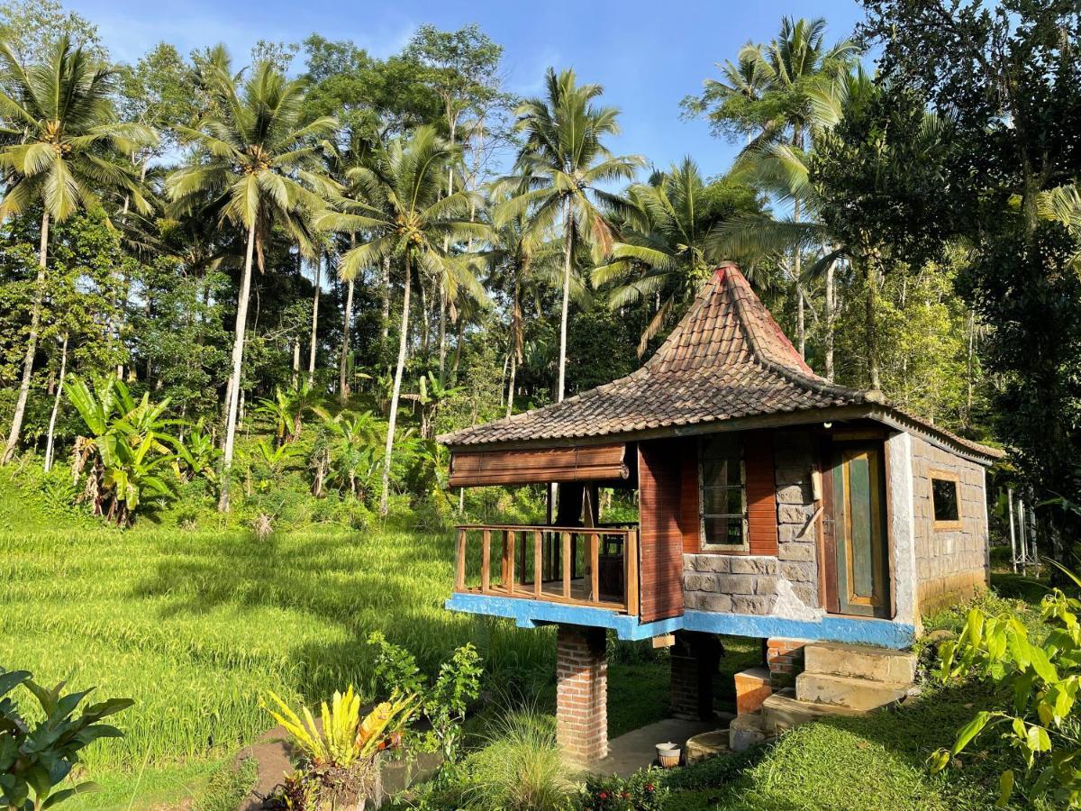 Tepi Sawah Lodge & Retreat Jatiluwih Exterior foto