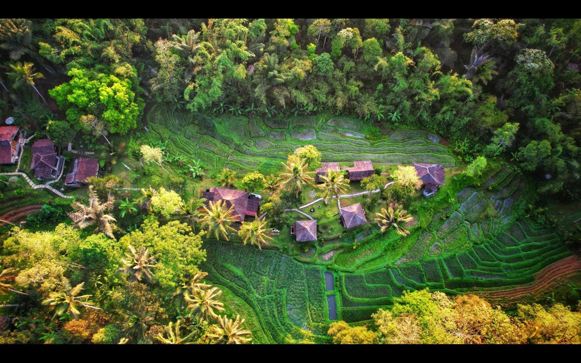 Tepi Sawah Lodge & Retreat Jatiluwih Exterior foto