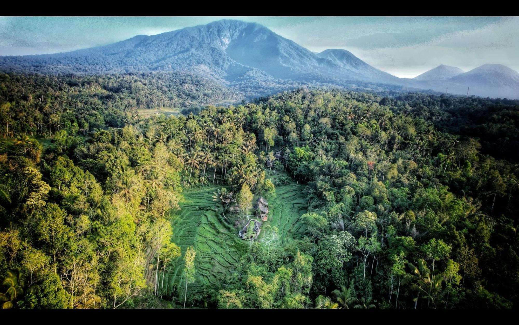 Tepi Sawah Lodge & Retreat Jatiluwih Exterior foto