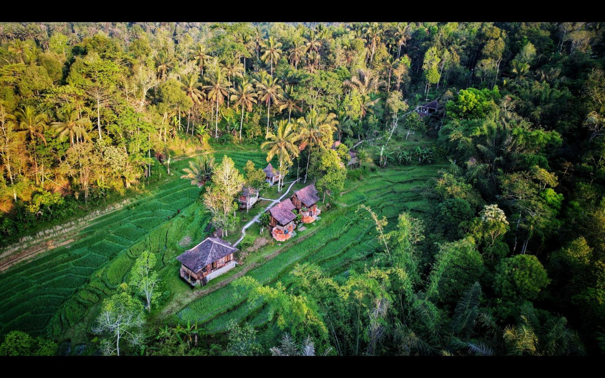 Tepi Sawah Lodge & Retreat Jatiluwih Exterior foto